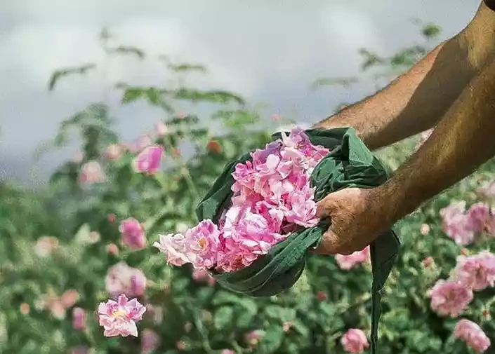درباره ما